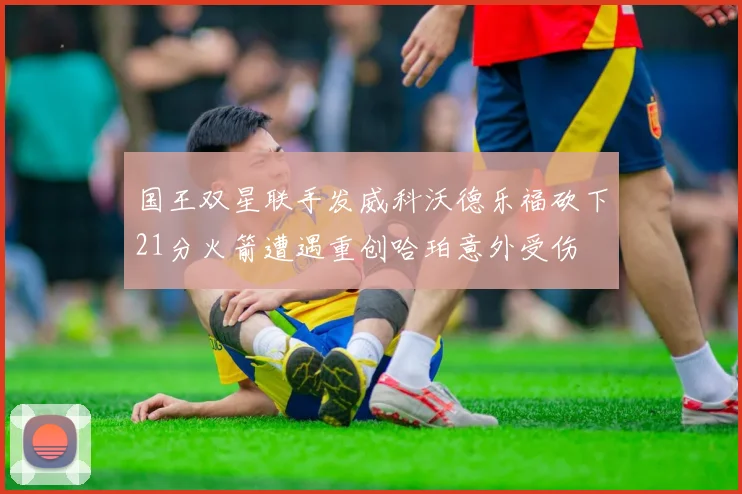 国王双星联手发威科沃德乐福砍下21分火箭遭遇重创哈珀意外受伤